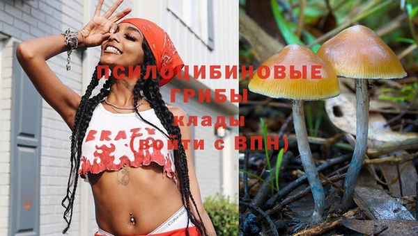 бутират Алзамай